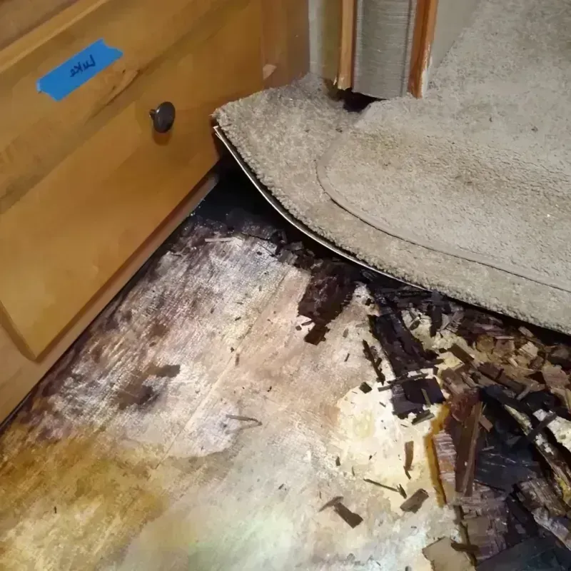 Wood Floor Water Damage in Carroll County, MD